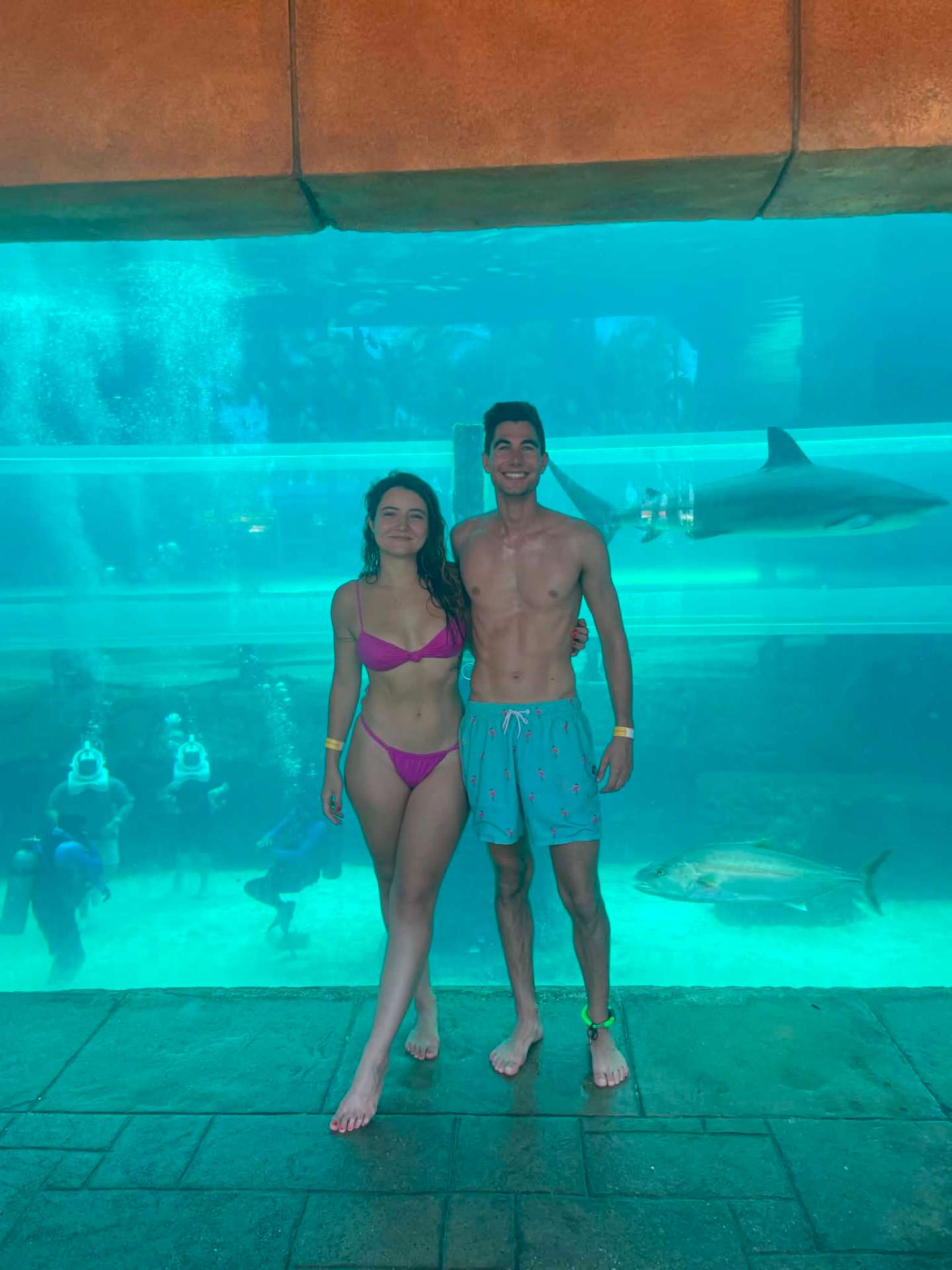 Atlantis shark tank, Nassau