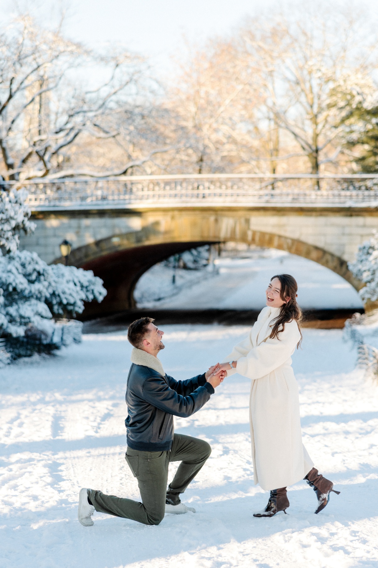 The proposal in Central Park