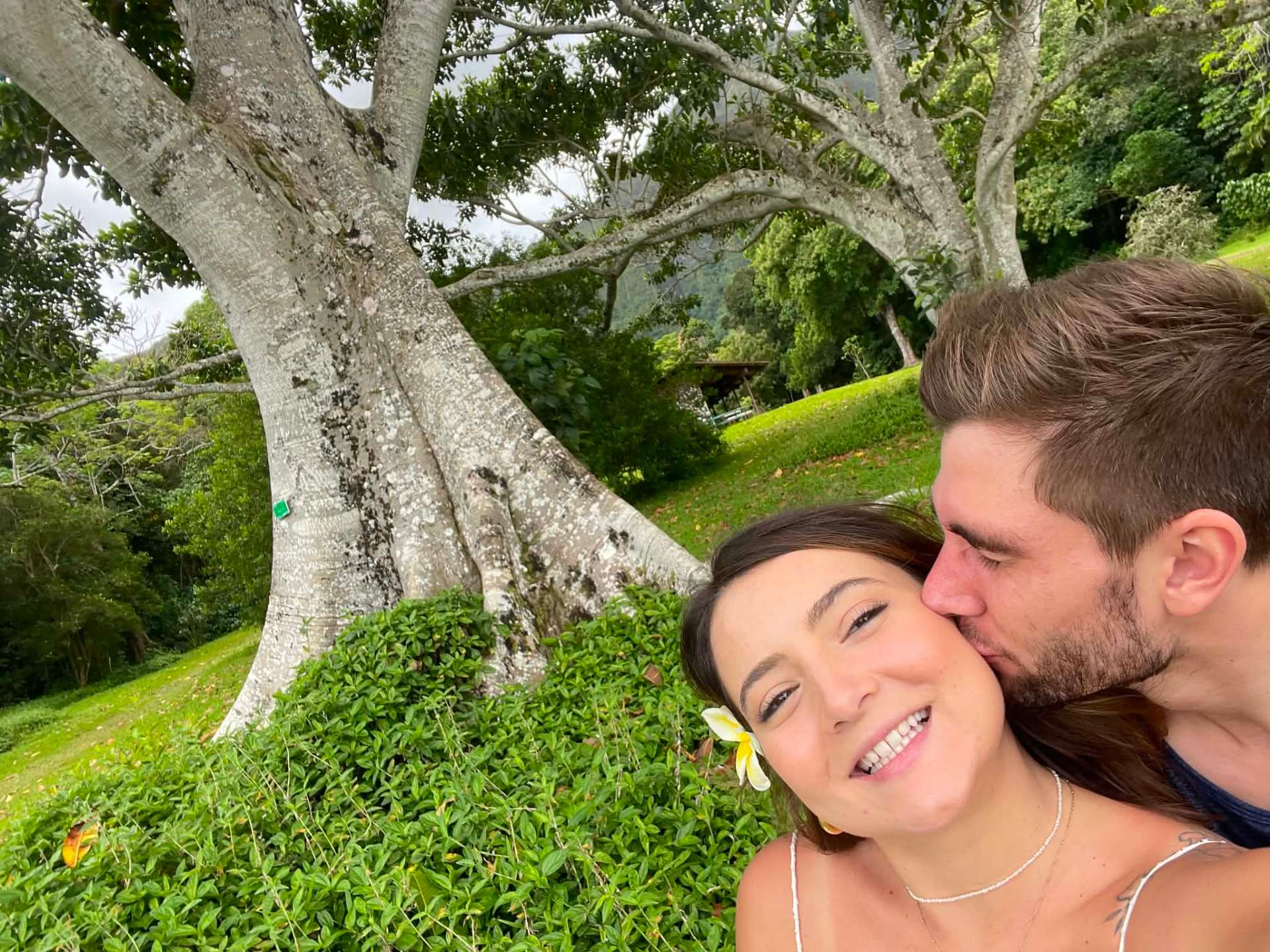 Lyon Arboretum, Oahu