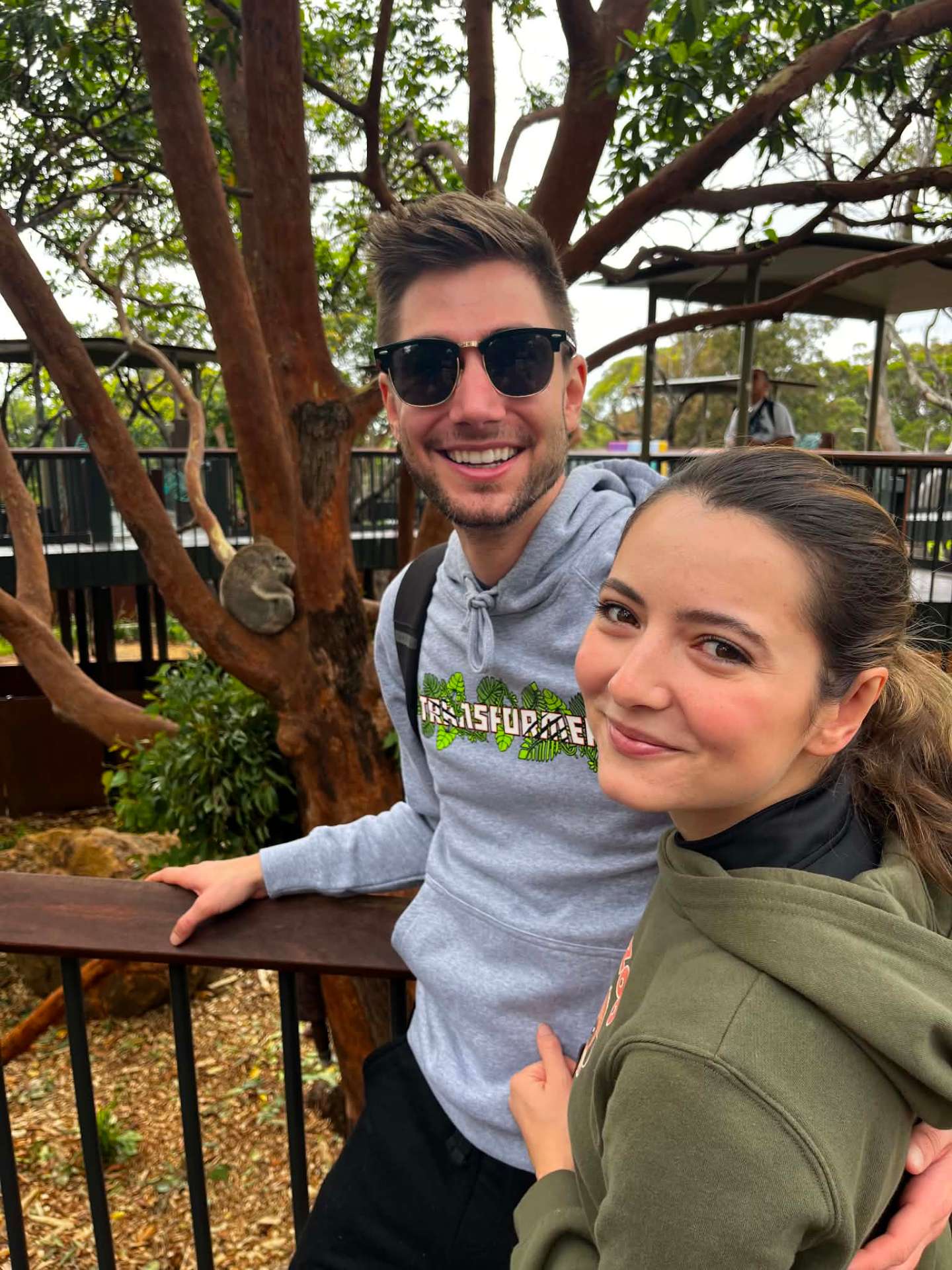 Koala park, Sydney