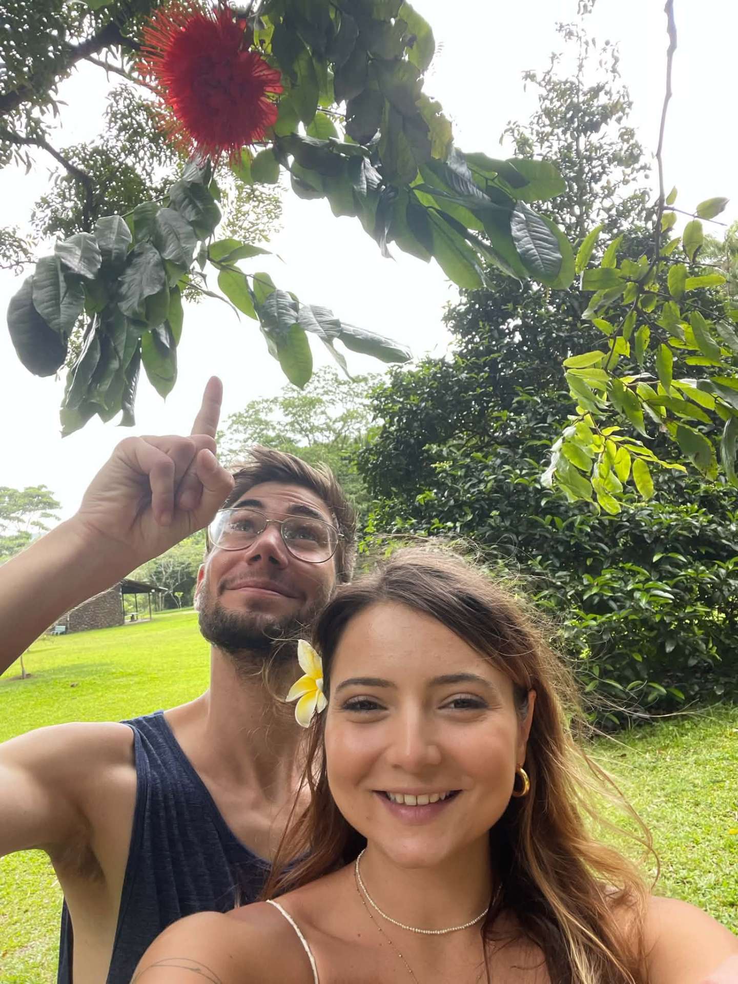Lyon Arboretum gardens, Oahu