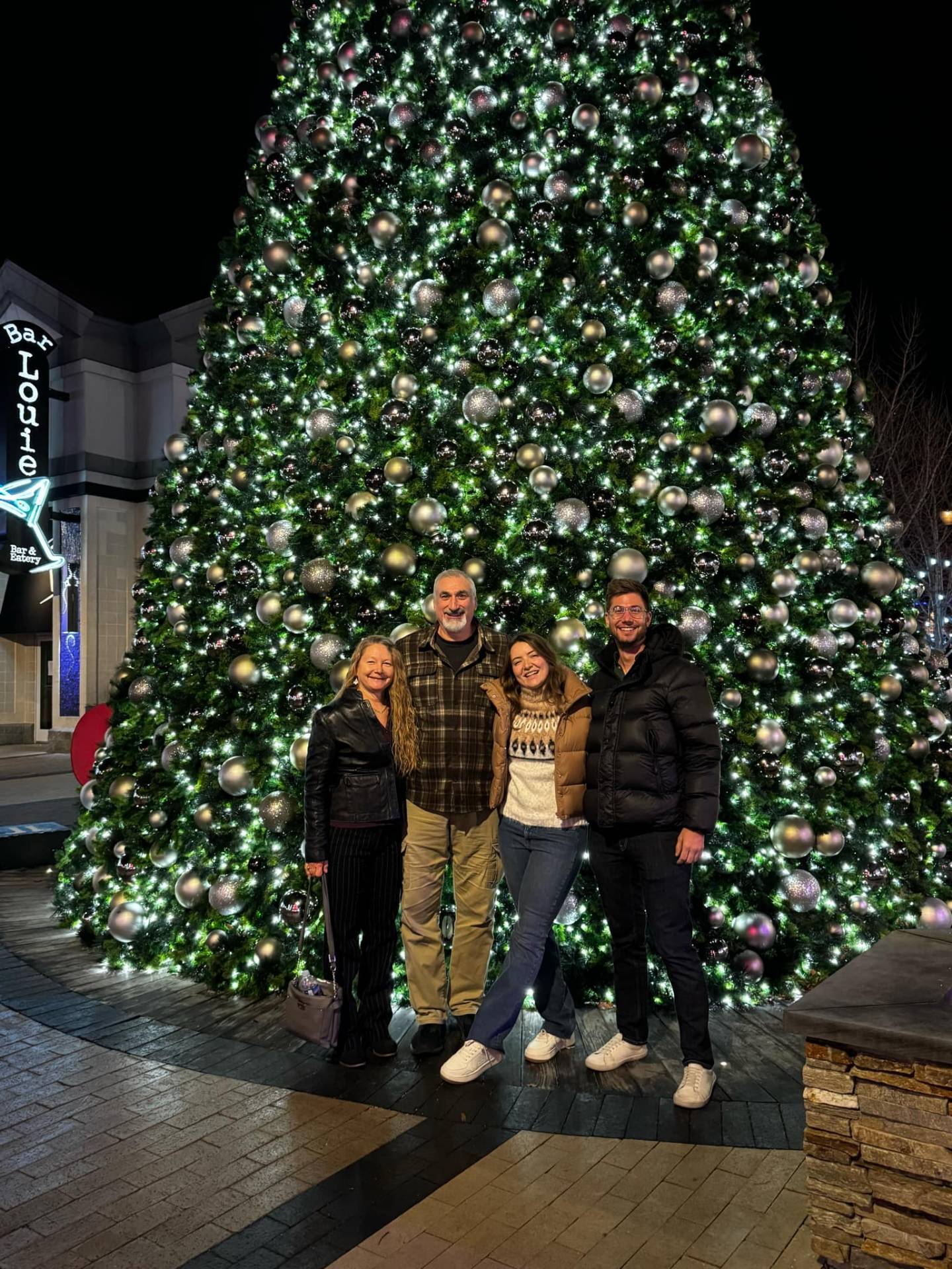 Christmas tree in town, Maryland